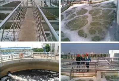 肖羽堂 以技术先锋之姿，共绘企业环保监测新蓝图