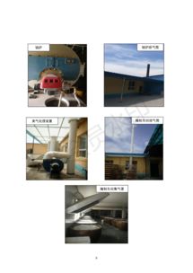 保定市润霖果脯厂果脯加工项目竣工环境保护验收监测报告——专业环保咨询服务解读